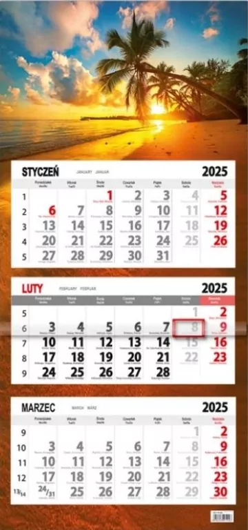 Kalendarz 2025 trójdzielny płaska główka palma - tantis.pl