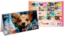 Kalendarz 2026 biurkowy Psy