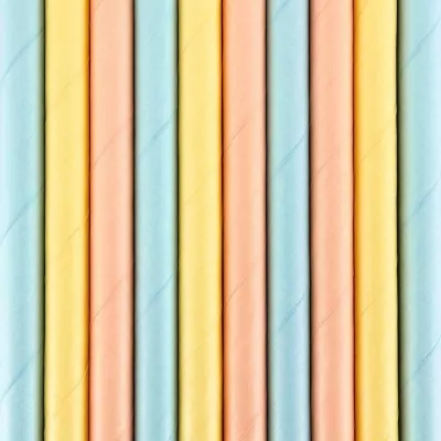 Słomki papierowe Summer time 19,5cm