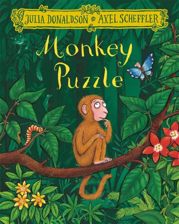 Monkey Puzzle wer. angielska - tantis.pl