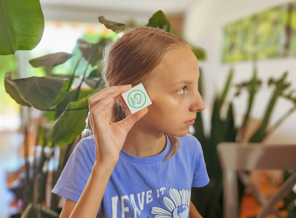 Pamięć dźwiękowa - tantis.pl