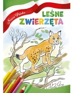 Leśne zwierzęta. Nasza Polska - tantis.pl