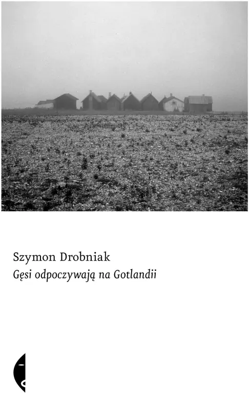 Gęsi odpoczywają na Gotlandii - tantis.pl