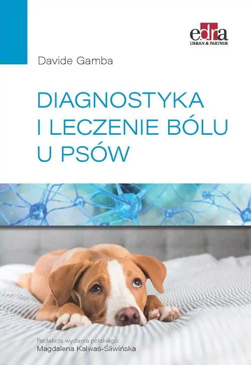 Diagnostyka i leczenia bólu u psów - tantis.pl