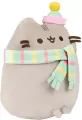 Pusheen w czapeczce i szaliku - tantis.pl