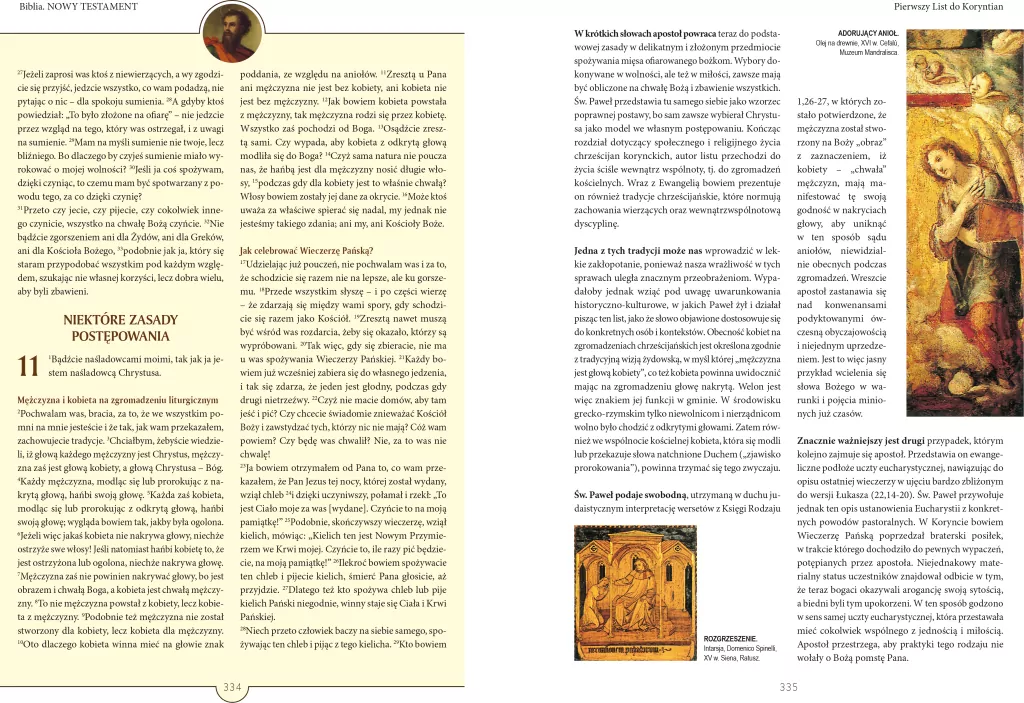 Biblia. Nowy Testament - tantis.pl
