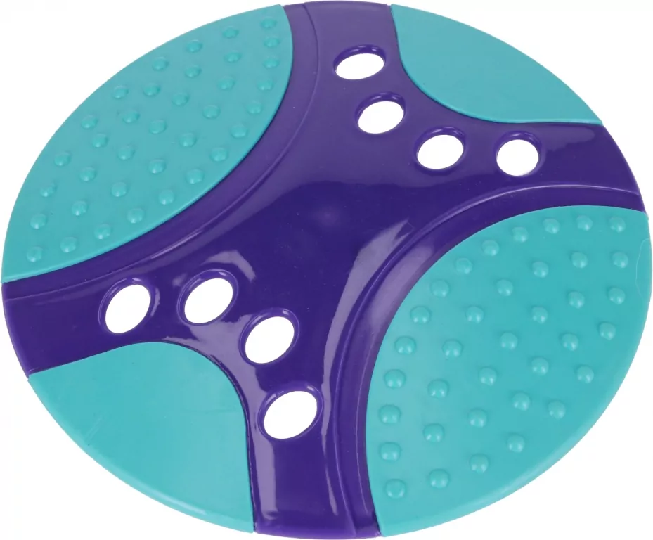 Dysk do rzucania dla Psa 23cm - tantis.pl