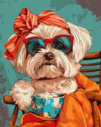 Malowanie po numerach 40x50cm. Stylowy Shih tzu