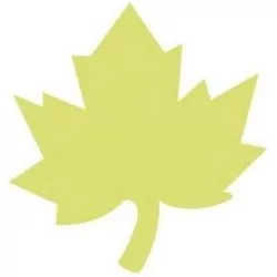 Dziurkacz ozdobny 7,5cm, klon