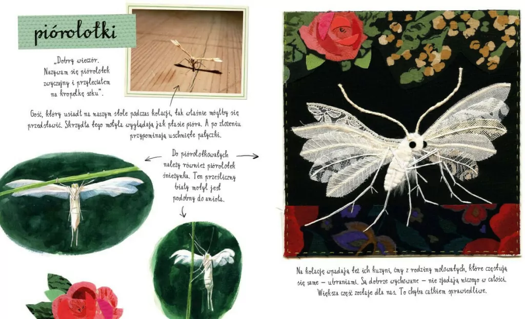 Mały atlas motyli Ewy i Pawła Pawlaków. Mały atlas Pawlaków - tantis.pl