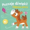 Poznaję dźwięki. Odgłosy natury - tantis.pl