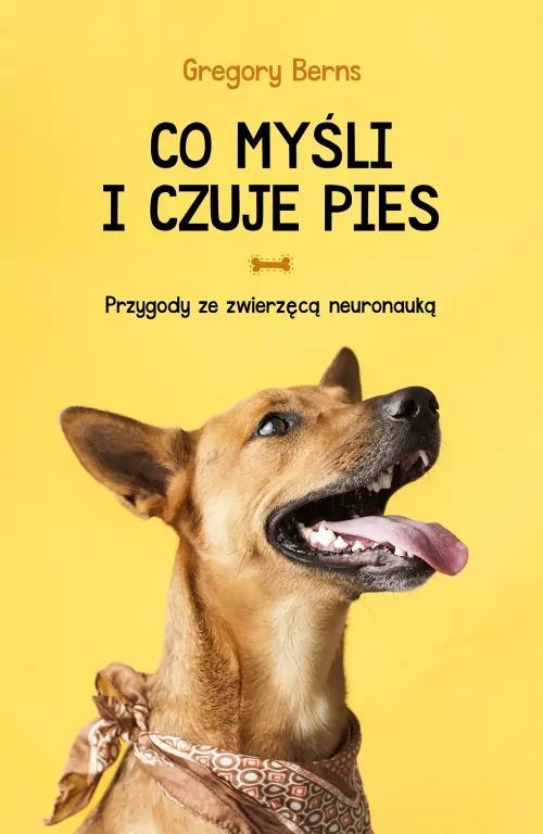 Co myśli i czuje pies - tantis.pl