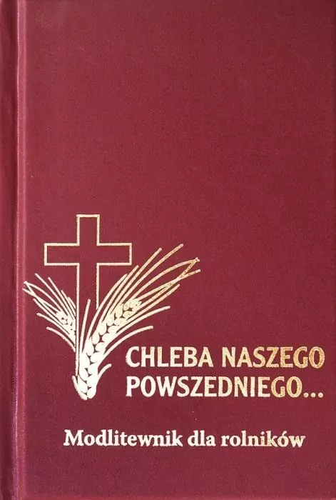 Chleba naszego powszedniego - modlitewnik - tantis.pl