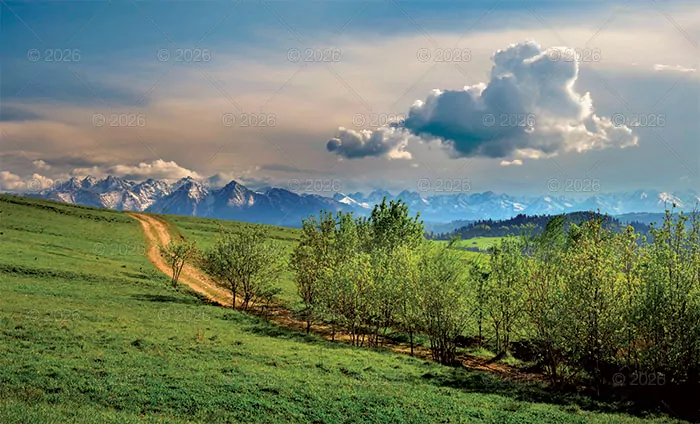 Kalendarz ścienny trójdzielny Wiosna 2026 - tantis.pl