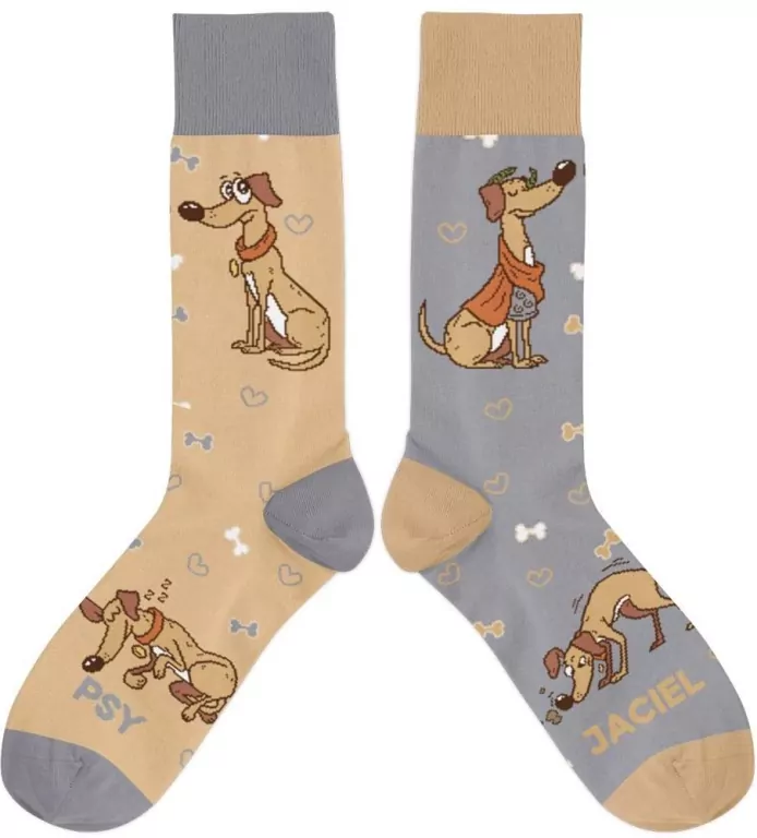 Skarpetki - Psyjaciel rozm. 37/41 - tantis.pl