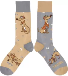 Skarpetki - Psyjaciel rozm. 37/41