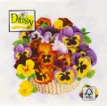 Serwetki 33x33 cm Daisy Wiosenne op. 20 szt - tantis.pl