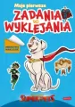DC Liga Super-Pets. Moje pierwsze zadania do wyklejania - tantis.pl