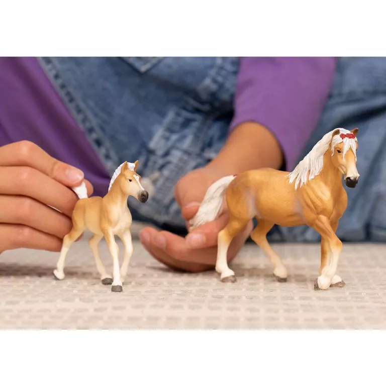Źrebak rasy haflinger 13951 - tantis.pl