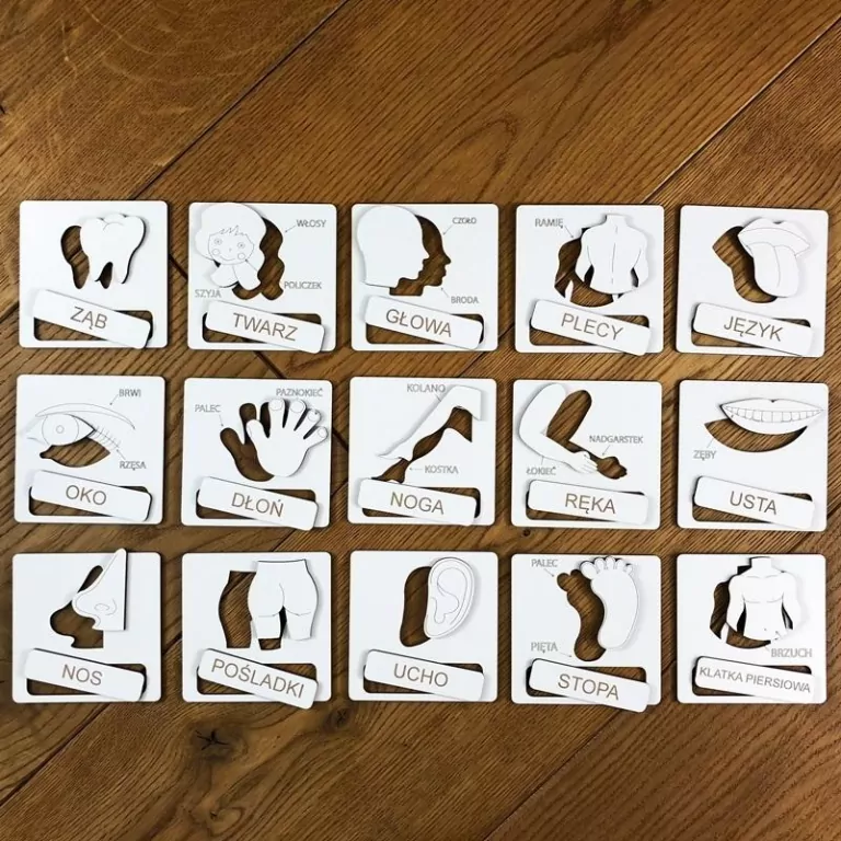 Części ciała. Układanka tematyczna - tantis.pl