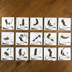 Części ciała. Układanka tematyczna