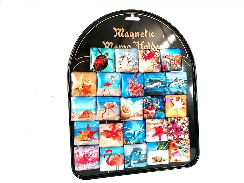 Magnesy morskie - tantis.pl