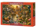 Castor. Puzzle 1000. Tigers Paradise - tantis.pl