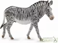 Zebra Grevys XL - tantis.pl