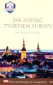 Jak zostać Tygrysem Europy. Biblioteka Rządzących i Rządzonych. Tom 7 - tantis.pl