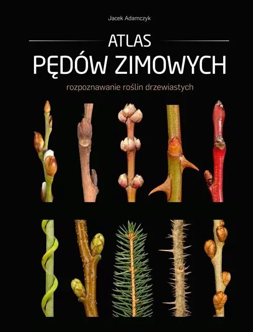 Atlas pędów zimowych - tantis.pl