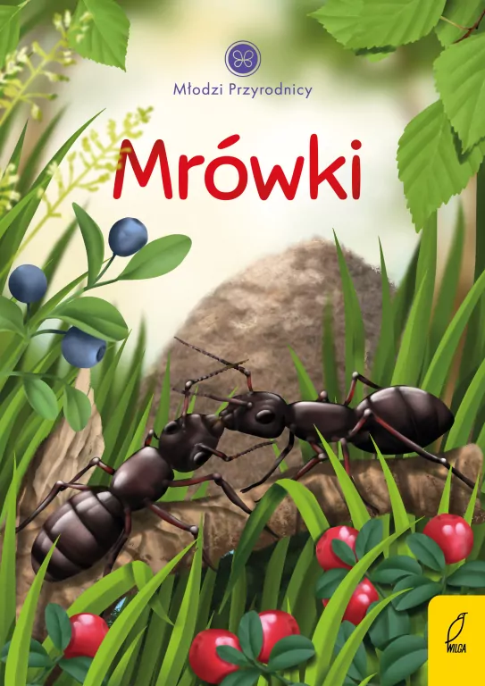 Młodzi przyrodnicy. Mrówki - tantis.pl