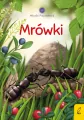 Młodzi przyrodnicy. Mrówki - tantis.pl