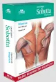 Mięśnie. Anatomia Sobotta Flashcards. Polskie mianownictwo anatomiczne - tantis.pl