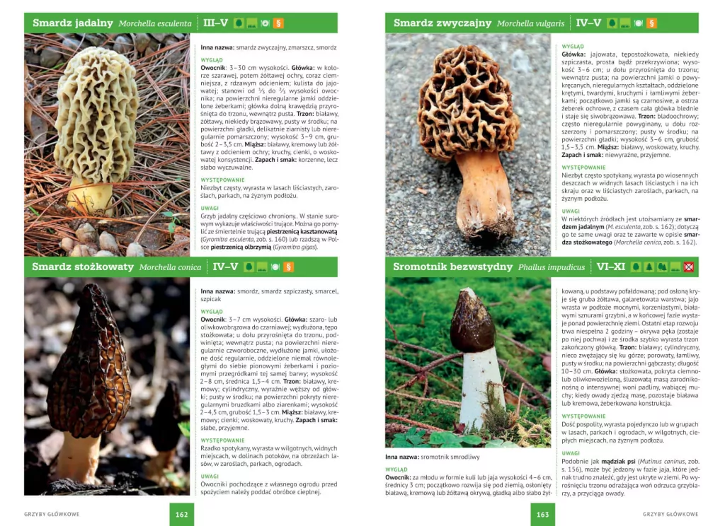 Atlas grzybów - tantis.pl