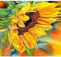 Mozaika diamentowa 5D - Kwiat słonecznika 40x30cm - tantis.pl