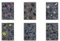Zeszyt Symbols. A5/80K kratka. 10 sztuk - tantis.pl