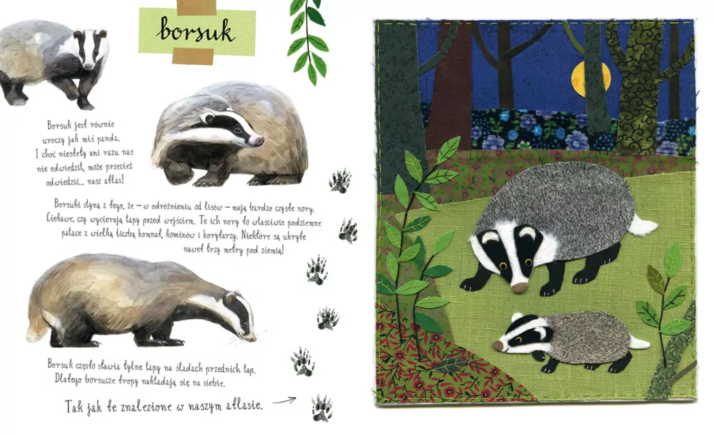 Mały atlas zwierzaków Ewy i Pawła Pawlaków - tantis.pl