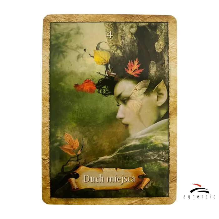 Zaczarowana Mapa. Karty Wyroczni - tantis.pl