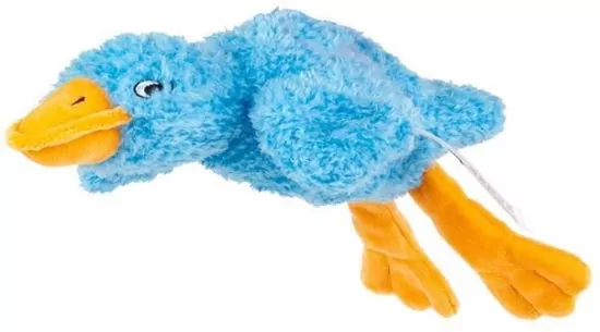 Sensoryczna Gęś niebieska