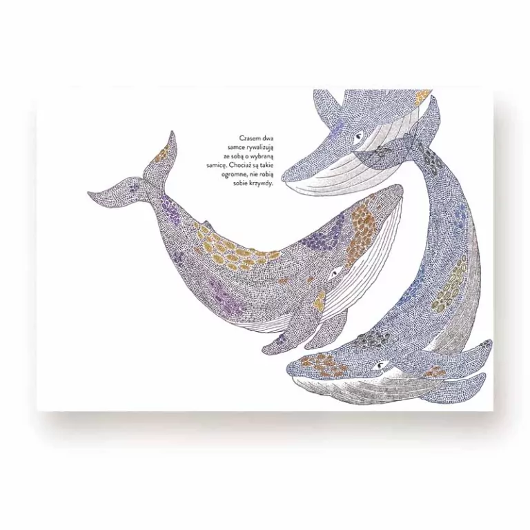 Narodziny - tantis.pl