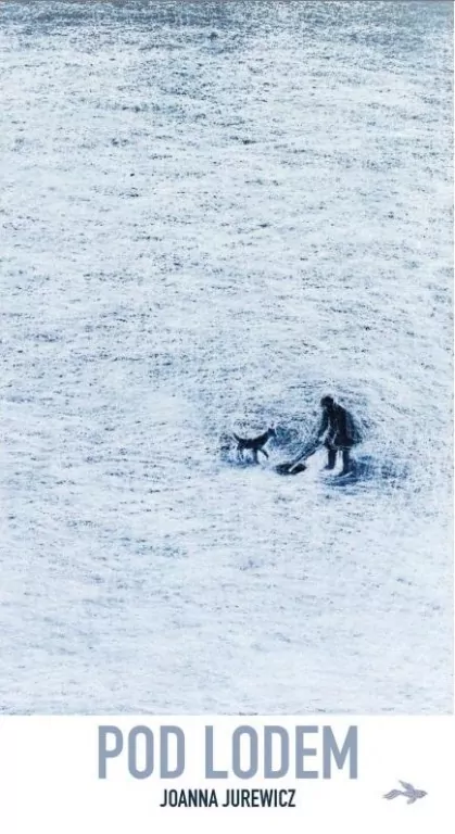 Pod lodem - tantis.pl