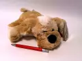 Pies Roddy 25cm - tantis.pl