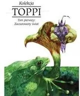 Toppi Tom 1 Zaczarowany świat - tantis.pl