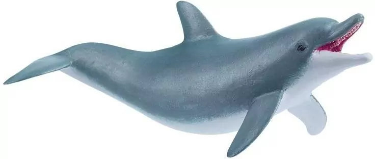 Delfin bawiący się - tantis.pl