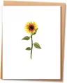 Mini Karnet ML40 - tantis.pl