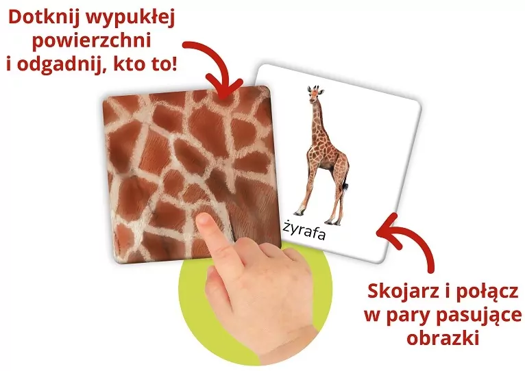 Montessori. Zwierzęta tu i tam. Karty sensoryczne - tantis.pl