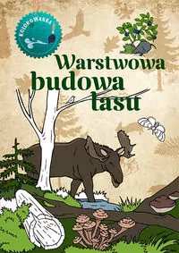 Kolorowanka. Warstwowa budowa lasu - tantis.pl