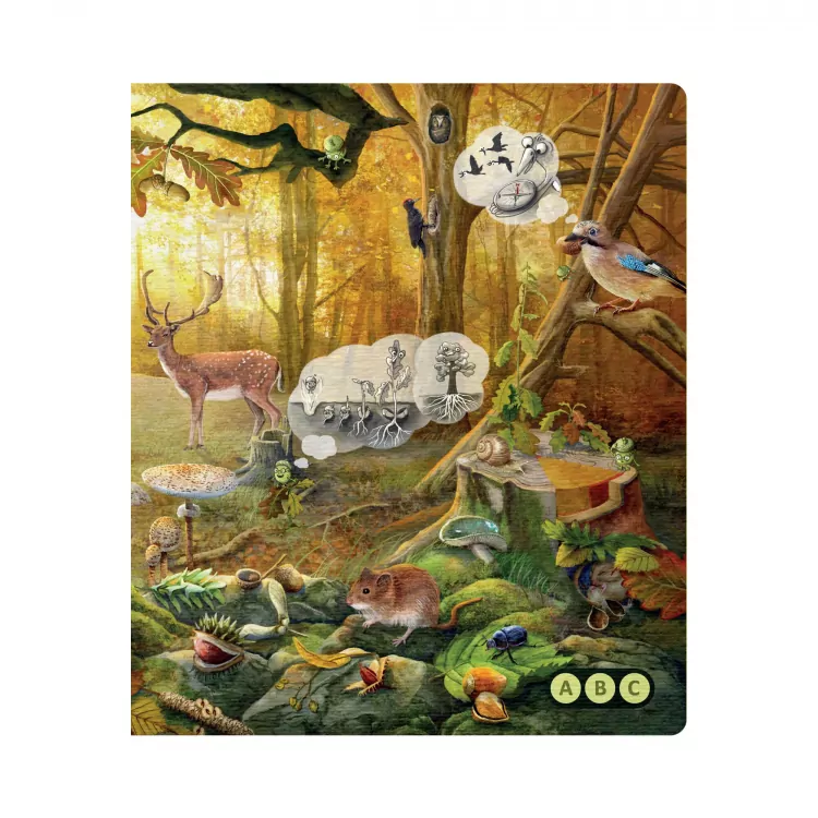 Nasza Przyroda. Czytaj z Albikiem - tantis.pl