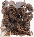 OZDOBA NATURA SZYSZKA 20G CF PBH 12/144 - tantis.pl