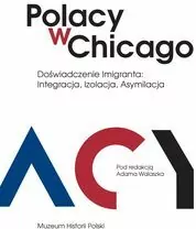 Polacy w Chicago - tantis.pl